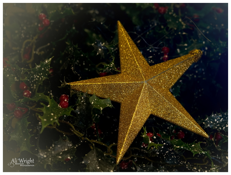 Star & Holly